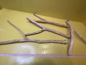 4 Wooden Parrot Bird Stand Tree Branches for small parrots and birds - Picture 1 of 5