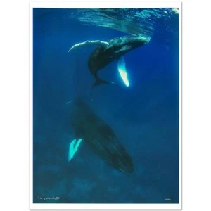 Fotografía de naturaleza artística LED Wyland "Madre y ternero", número y H/Sig, 17,7"x 23,5". certificado de autenticidad - Imagen 1 de 4