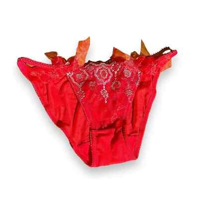 NUEVO Rojo Encaje Bordado Malla Bikini Bragas Bragas Panty con Lazos Metálico M Foto 1 de 4