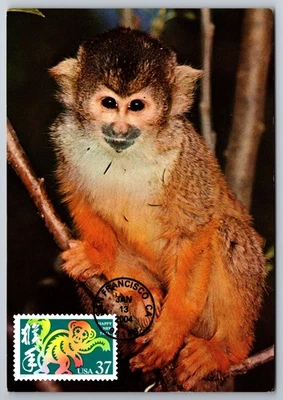 3832 Chinese Lunar New Year, Year of the Monkey FDC Maxi Card - Image 1 of 2