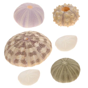 6 Pcs Aquarium Decoration Sea Ornaments Decorative Decorations - Picture 1 of 12