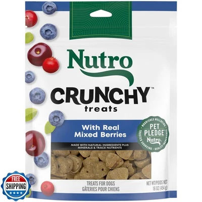 Nutro Crunchy Dog Treats with Real Mixed Berries, 16 oz. Bag - Image 1 of 4