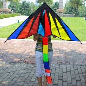 NEW 47-inch triangle colorful kite Outdoor fun Sports Children's toys delta kite - Picture 1 of 4