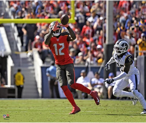 Chris Godwin Tampa Bay Buccaneers Unsigned Catching Photograph Cover