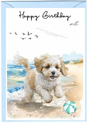 Cavachon / Doodle Dog (4"x 6") Birthday Card - blank inside - by Starprint