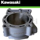 New 2019-2020 Genuine Kawasaki Engine Cylinder Kx450 Kx 450 11005-0704