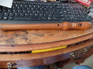 Hohner Musica Flute Wood Recorder - Picture 1 of 2