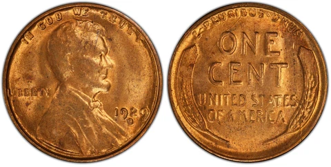 1929-S 1c PCGS MS 64 RB ~ NEAR RED BETTER DATE LINCOLN CENT Cover