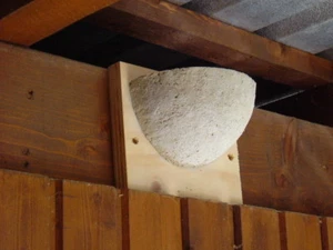 1 Rauchschwalben Nest Futterhaus Schwalben Nest Vogelhaus Nisthilfe - Bild 1 von 8