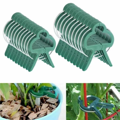 CLIPS GRANDES PARA PLANTAS Y JARDINES 10 PIEZAS Soporte Tomate Vegetal Enrejado Cordel Corbatas Foto 1 de 4