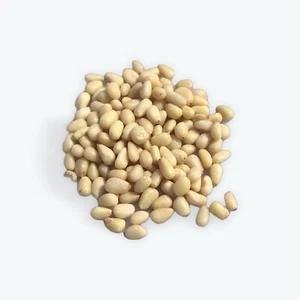Organic Pine Nuts Fresh Kosher Bulk 1 LB Bag - Picture 1 of 1