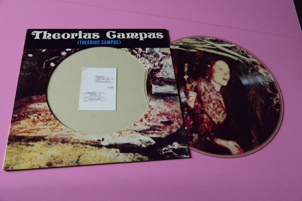 THEORIUS CAMPUS LP PICTURE DISC ITALY 1992 WX+ CON TALLONCINO - Immagine 1 di 1