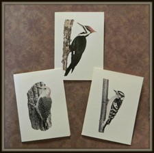 Set of 12 Handmade Blank Woodpecker Print Note Cards Downy, Pileated, Red Belly