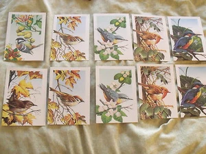 Gartenvögel Postkarten & Karten Umschläge 10 Stück - Bild 1 von 1