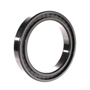 SL182928-B-XL-C3 INA 140 x 190 x 30 mm CYL. ROLL. SINGLE ROW - Picture 1 of 4