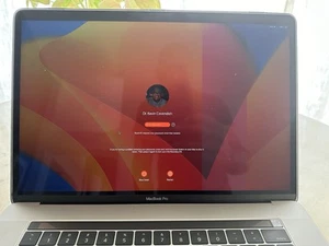 Apple MacBook Pro 2016 2017 Space Gray A1707 Display LCD Lines - Afbeelding 1 van 7