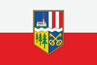 Fahne Flagge Aspach (Obersterreich) 20 x 30 cm Bootsflagge Premiumqualitt