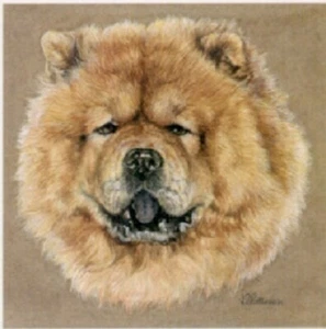 Chow Chow Miniature Art Print by UK Artist Lynn Paterson* - Picture 1 of 1