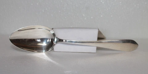 Dominick & Haff Pointed Antique 8.5" Tablespoon (1895) 72g Cover