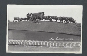 1958 RPPC Bronze Oxen Team Sculpture Montevideo Uruguay - Picture 1 of 1