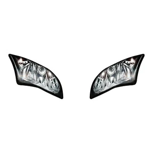 HEADLIGHT STICKERS WORLD SUPERBIKE - KAWASAKI ZX10R 2016 RACE DECALS v1 - Picture 1 of 1