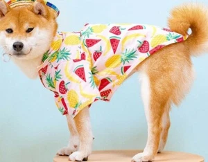 expawlorer dog Hawaiihemd Medium - Bild 1 von 12