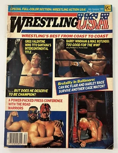 Wrestling USA Magazine - Verano 1985 - Valentine-Santana Título Intercontinental - Imagen 1 de 3