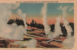 Vintage Yellowstone National Park Linen Postcard Norris Geyser Basin #3 - Picture 1 of 2