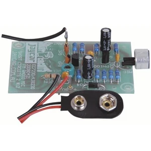 Short Circuits Two Project - Simple FM Bug - Picture 1 of 1