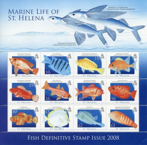 St Helena Fishes Stamps 2008 MNH Fish Definitives Gurnard Mullet Hogfish 12v M/S Cover