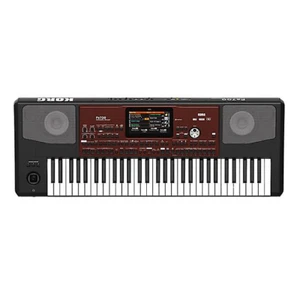KORG PA700 Professional Arranger Keyboard 61 key Touchscreen and Speakers New - Picture 1 of 3