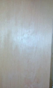 Erle Body Tonholz tonewood Mindestmaß.540 x360+ x42 + mm - Bild 1 von 1