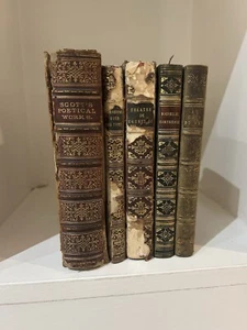 Antique Educational Books Awarded to Women (1861–1884) – England & Scotland - Picture 1 of 24