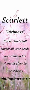 Scarlett "Richness" Keepsake Name Meaning Bookmark with Bible Verse and Tassel - Picture 1 of 2