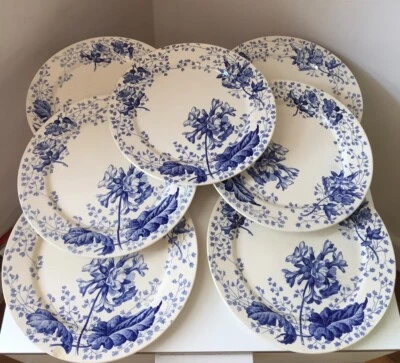 Assiette terre de fer Creil et Montereau décor primevère XIX - Photo 1/4