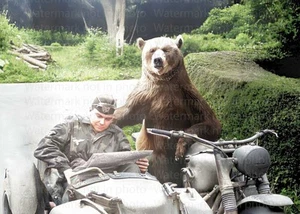 Wojtek The Bear Polish Army WWII RARE COLOR Photo 302 REMASTERED - Picture 1 of 1