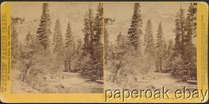 1867 Carleton Watkins Stereoview #1131 Tacoye, o North Dome Yosemite - Foto 1 di 1