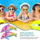 PVC Material Inflatable Dolphin Toy PVC Dolphin Toys  School Activities