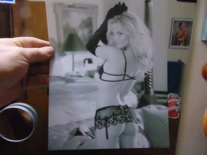 Kate Hudson 8 x10 SCHWARZ & WEISS FOTOGRAFIE DESSOUS HINTERTEIL - Bild 1 von 4