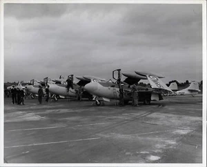 DE HAVILLAND DH SEA VENOM LINE UP ORIGINAL VINTAGE PRESS PHOTO ROYAL NAVY 1 - Picture 1 of 2