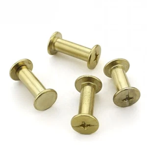 200pcs  M5 x 10mm Flat Leather Belt Rivets Chicago Screws Studs Nail Head - Picture 1 of 1