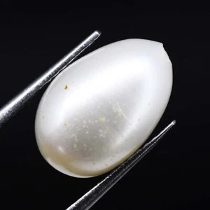 6.50 Cts Natural Australian Pearl South Sea Drop Certified Untreated Gemstone - Picture 1 of 4