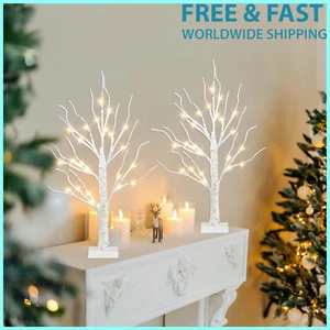 2 FT Christmas Decorations, Birch Tree with LED Lights, Fairy Spirit Tree (2PK) - Picture 1 of 9