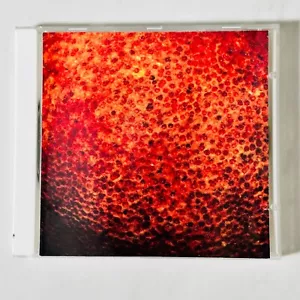 The Coctails - CD - Self-Titled - Rare - Foto 1 di 3