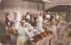 AGRICULTURE - Fig Packing -= Fresno, CALIFORNIA - 1907 - Picture 1 of 2