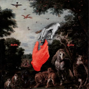 Chris Liebing Burn Slow (Vinyl) 12" Album - Picture 1 of 1