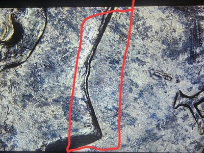 Double Die 1983 Denver  Kennedy Half Dollar , Most Noticeable On Dollar . - Image 1 of 2