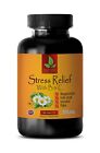 stress relief - STRESS RELIEF B & C - brain supplement mental clarity 1 BOTTLE