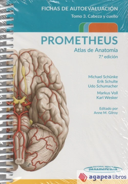 PROMETHEUS. Atlas de Anatomía.Fichas de autoevaluación: Cabeza y Cuello. NUEVO - Imagen 1 de 1