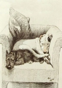 BULL TERRIER & SCOTTISH TERRIER IN CHAIR CHARMING DOG GREETINGS NOTE CARD - Picture 1 of 1
